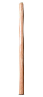 Medium Size Natural Finish Didgeridoo (TW1035)